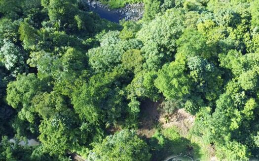 BELLES, Riversdale Estate – 2 Acres Of Elevated Residential /Agricultural Land With River