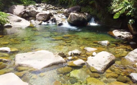 BELLES, Riversdale Estate – 2 Acres Of Elevated Residential /Agricultural Land With River