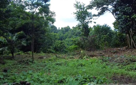 BELLES, Riversdale Estate – 2 Acres Of Elevated Residential /Agricultural Land With River