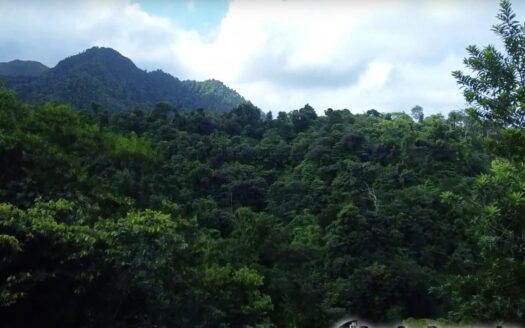 BELLES, Riversdale Estate – 2 Acres Of Elevated Residential /Agricultural Land With River