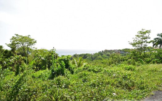 BELFAST Development Extension – 22,799.sq.ft. With Breathtaking Sea Views