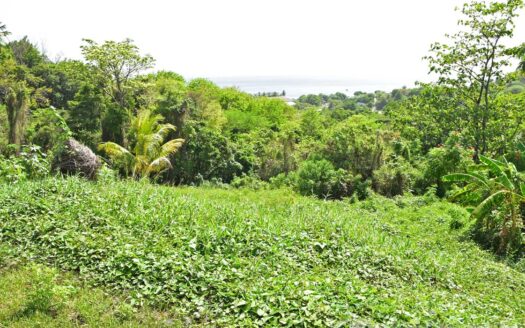 BELFAST Development Extension – 22,799.sq.ft. With Breathtaking Sea Views