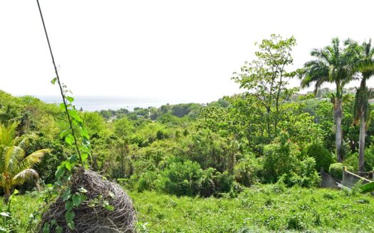 BELFAST Development Extension – 22,799.sq.ft. With Breathtaking Sea Views