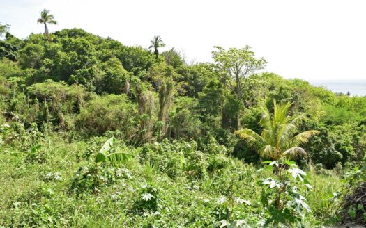 BELFAST Development Extension – 22,799.sq.ft. With Breathtaking Sea Views