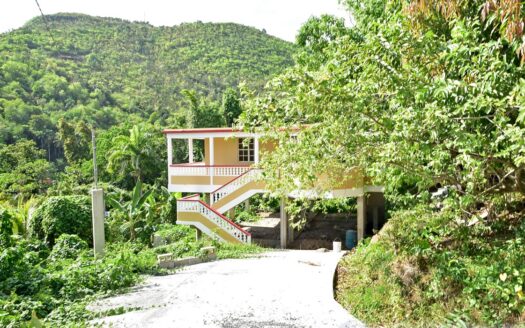 Payard Estate, MAHAUT – Newly Constructed 3 Bedroom Home On 7,542.sq.ft With Sea View