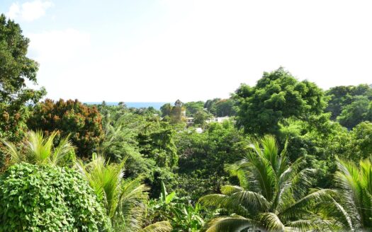 Payard Estate, MAHAUT – Newly Constructed 3 Bedroom Home On 7,542.sq.ft With Sea View