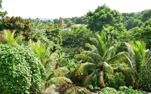 Payard Estate, MAHAUT – Newly Constructed 3 Bedroom Home On 7,542.sq.ft With Sea View