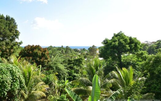 Payard Estate, MAHAUT – Newly Constructed 3 Bedroom Home On 7,542.sq.ft With Sea View