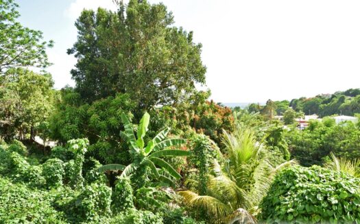 Payard Estate, MAHAUT – Newly Constructed 3 Bedroom Home On 7,542.sq.ft With Sea View