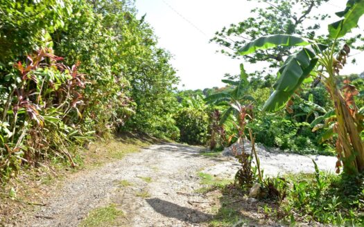 Payard Estate, MAHAUT – Newly Constructed 3 Bedroom Home On 7,542.sq.ft With Sea View