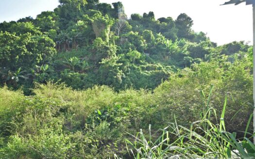 FOND COLE INDUSTRIAL SITE – 22,971.sq.ft. Prime Industrial Land