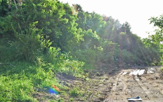 FOND COLE INDUSTRIAL SITE – 22,971.sq.ft. Prime Industrial Land