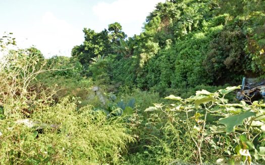 FOND COLE INDUSTRIAL SITE – 22,971.sq.ft. Prime Industrial Land