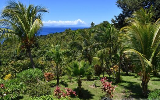 Guillet, SAVANNE PAILLE – Luxurious ‘Plantation Style’ 2 Storey Building on 3 Acres of Tropical Gardens With Spectacular Sea View