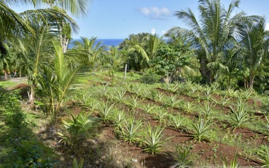 Guillet, SAVANNE PAILLE – Luxurious ‘Plantation Style’ 2 Storey Building on 3 Acres of Tropical Gardens With Spectacular Sea View