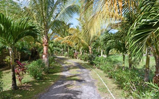 Guillet, SAVANNE PAILLE – Luxurious ‘Plantation Style’ 2 Storey Building on 3 Acres of Tropical Gardens With Spectacular Sea View