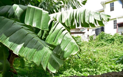 POTTERSVILLE – Commercial Property At Steeber Street On 1,574.sq.ft.