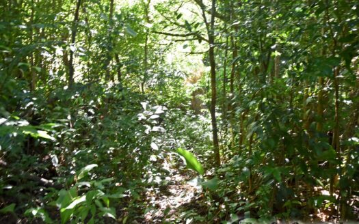 GIRAUDEL – 1 Acre Of Elevated, Sea View Land In The Refreshing Heights Of Giraudel