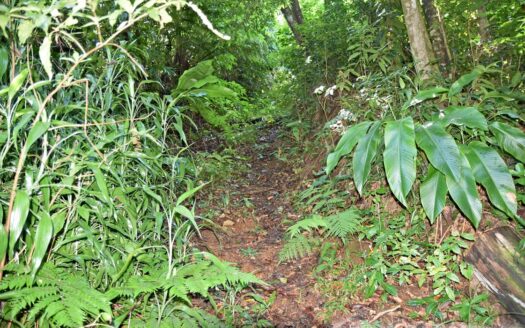 GIRAUDEL – 1 Acre Of Elevated, Sea View Land In The Refreshing Heights Of Giraudel