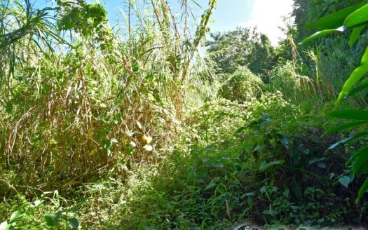 GIRAUDEL – 1 Acre Of Elevated, Sea View Land In The Refreshing Heights Of Giraudel