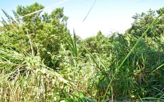 GIRAUDEL – 1 Acre Of Elevated, Sea View Land In The Refreshing Heights Of Giraudel