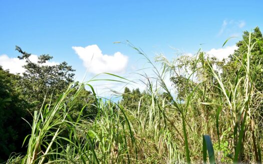 GIRAUDEL – 1 Acre Of Elevated, Sea View Land In The Refreshing Heights Of Giraudel