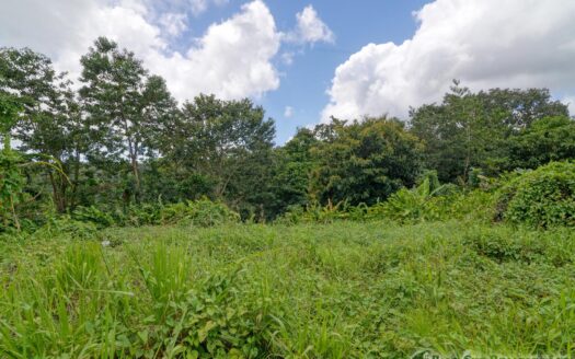 BELLES – 5.62 Acres Of Elevated Rain Forest With Heavy Flowing Streams & Mountain Views