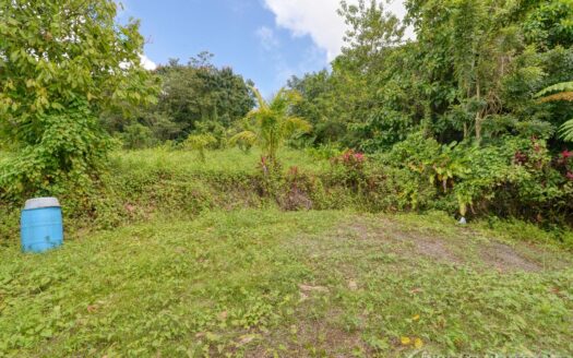 BELLES – 5.62 Acres Of Elevated Rain Forest With Heavy Flowing Streams & Mountain Views