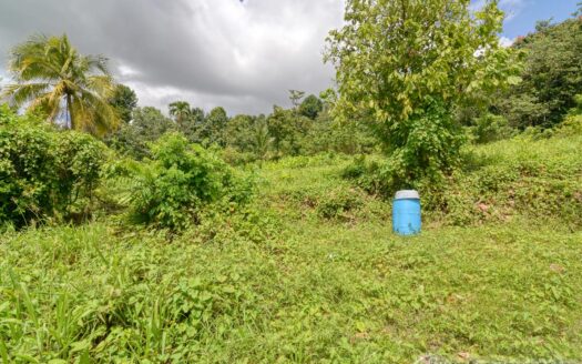 BELLES – 5.62 Acres Of Elevated Rain Forest With Heavy Flowing Streams & Mountain Views