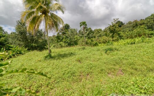 BELLES – 5.62 Acres Of Elevated Rain Forest With Heavy Flowing Streams & Mountain Views
