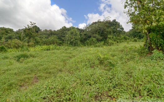 BELLES – 5.62 Acres Of Elevated Rain Forest With Heavy Flowing Streams & Mountain Views