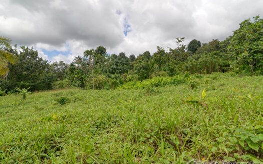 BELLES – 5.62 Acres Of Elevated Rain Forest With Heavy Flowing Streams & Mountain Views