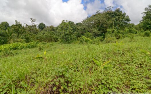 BELLES – 5.62 Acres Of Elevated Rain Forest With Heavy Flowing Streams & Mountain Views