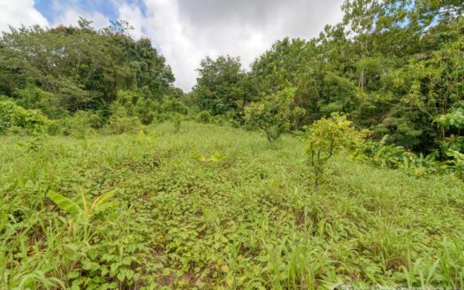 BELLES – 5.62 Acres Of Elevated Rain Forest With Heavy Flowing Streams & Mountain Views