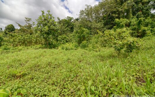 BELLES – 5.62 Acres Of Elevated Rain Forest With Heavy Flowing Streams & Mountain Views