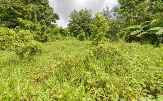 BELLES – 5.62 Acres Of Elevated Rain Forest With Heavy Flowing Streams & Mountain Views