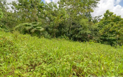 BELLES – 5.62 Acres Of Elevated Rain Forest With Heavy Flowing Streams & Mountain Views