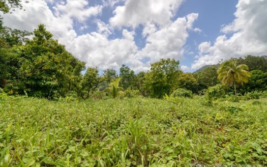 BELLES – 5.62 Acres Of Elevated Rain Forest With Heavy Flowing Streams & Mountain Views