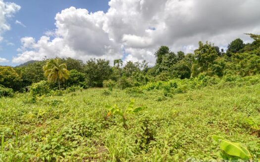 BELLES – 5.62 Acres Of Elevated Rain Forest With Heavy Flowing Streams & Mountain Views