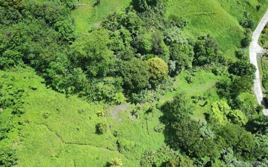 BELLES – 5.62 Acres Of Elevated Rain Forest With Heavy Flowing Streams & Mountain Views