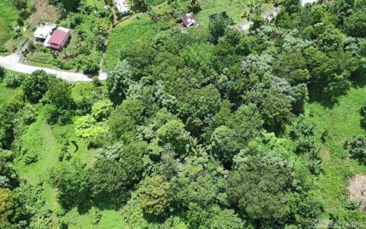 BELLES – 5.62 Acres Of Elevated Rain Forest With Heavy Flowing Streams & Mountain Views