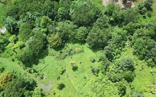 BELLES – 5.62 Acres Of Elevated Rain Forest With Heavy Flowing Streams & Mountain Views