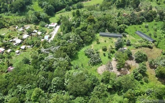 BELLES – 5.62 Acres Of Elevated Rain Forest With Heavy Flowing Streams & Mountain Views