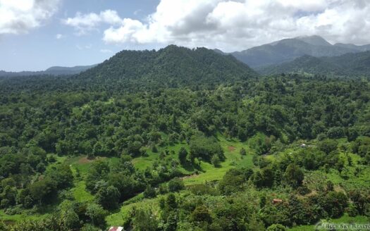 BELLES – 5.62 Acres Of Elevated Rain Forest With Heavy Flowing Streams & Mountain Views
