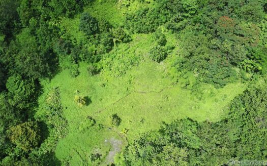 BELLES – 5.62 Acres Of Elevated Rain Forest With Heavy Flowing Streams & Mountain Views