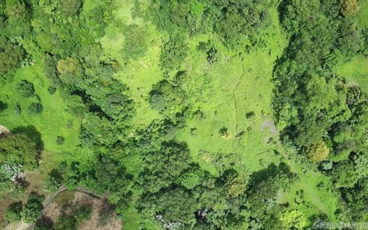 BELLES – 5.62 Acres Of Elevated Rain Forest With Heavy Flowing Streams & Mountain Views