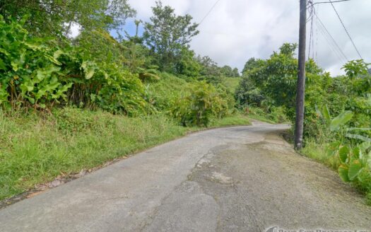 BELLES – 5.62 Acres Of Elevated Rain Forest With Heavy Flowing Streams & Mountain Views