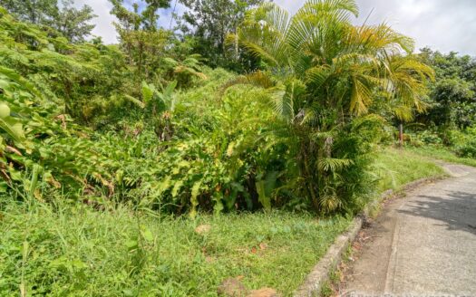 BELLES – 5.62 Acres Of Elevated Rain Forest With Heavy Flowing Streams & Mountain Views