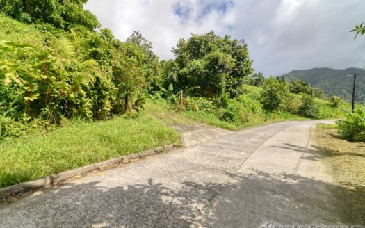 BELLES – 5.62 Acres Of Elevated Rain Forest With Heavy Flowing Streams & Mountain Views