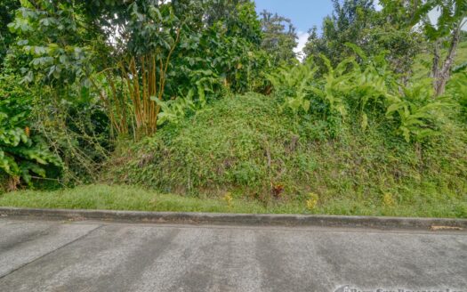 BELLES – 5.62 Acres Of Elevated Rain Forest With Heavy Flowing Streams & Mountain Views